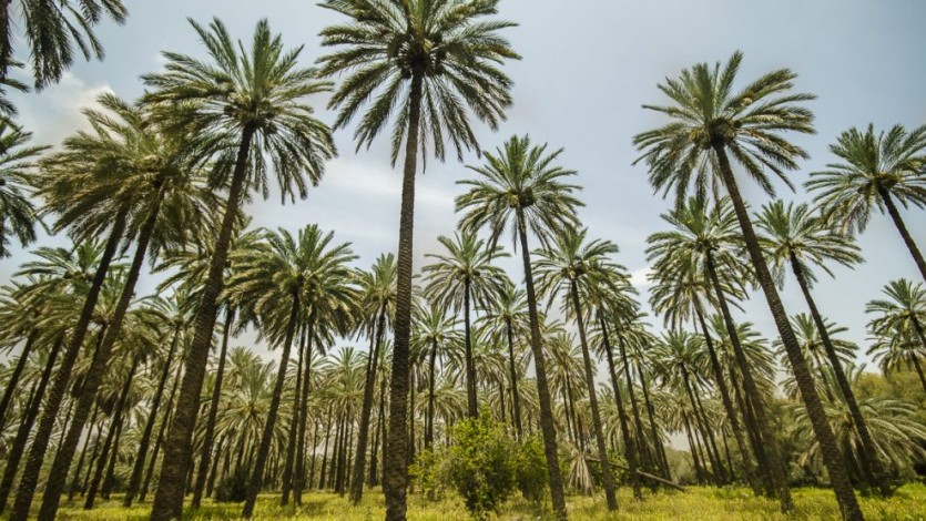 واقعية‌ الإسلام في التعامل مع الإنسان