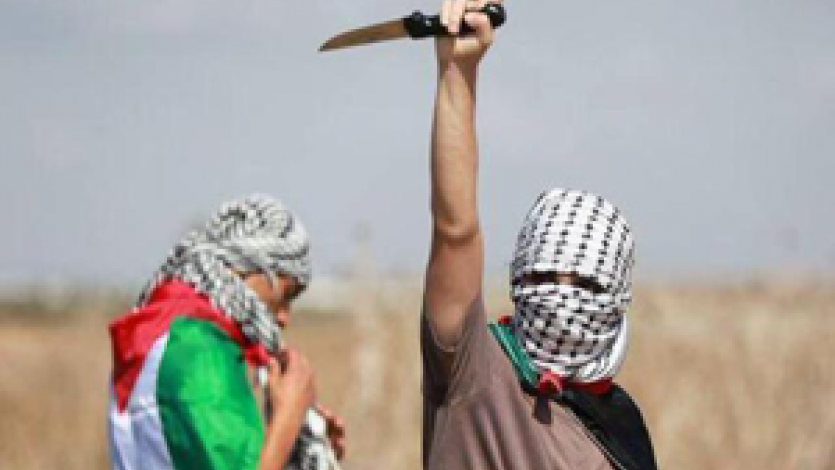 القرضاوي يرفض انتقاد سكين المقاومة