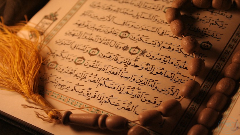 معيار لا يخطئ.. الاهتمام بما اهتم به القرآن
