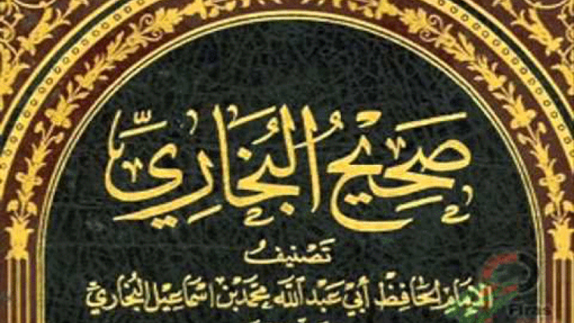 حول حديث الذباب